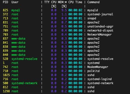 processes sorted by memory use processes sorted by memory use